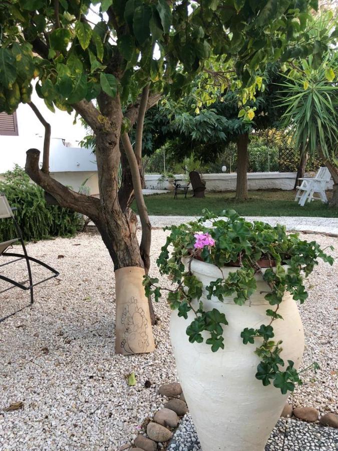 Il Gelso Nella Valle Agrigento Kültér fotó